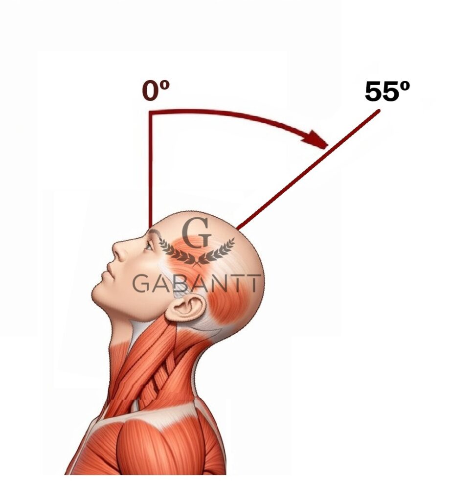 Neck extension exercises G Gabantt