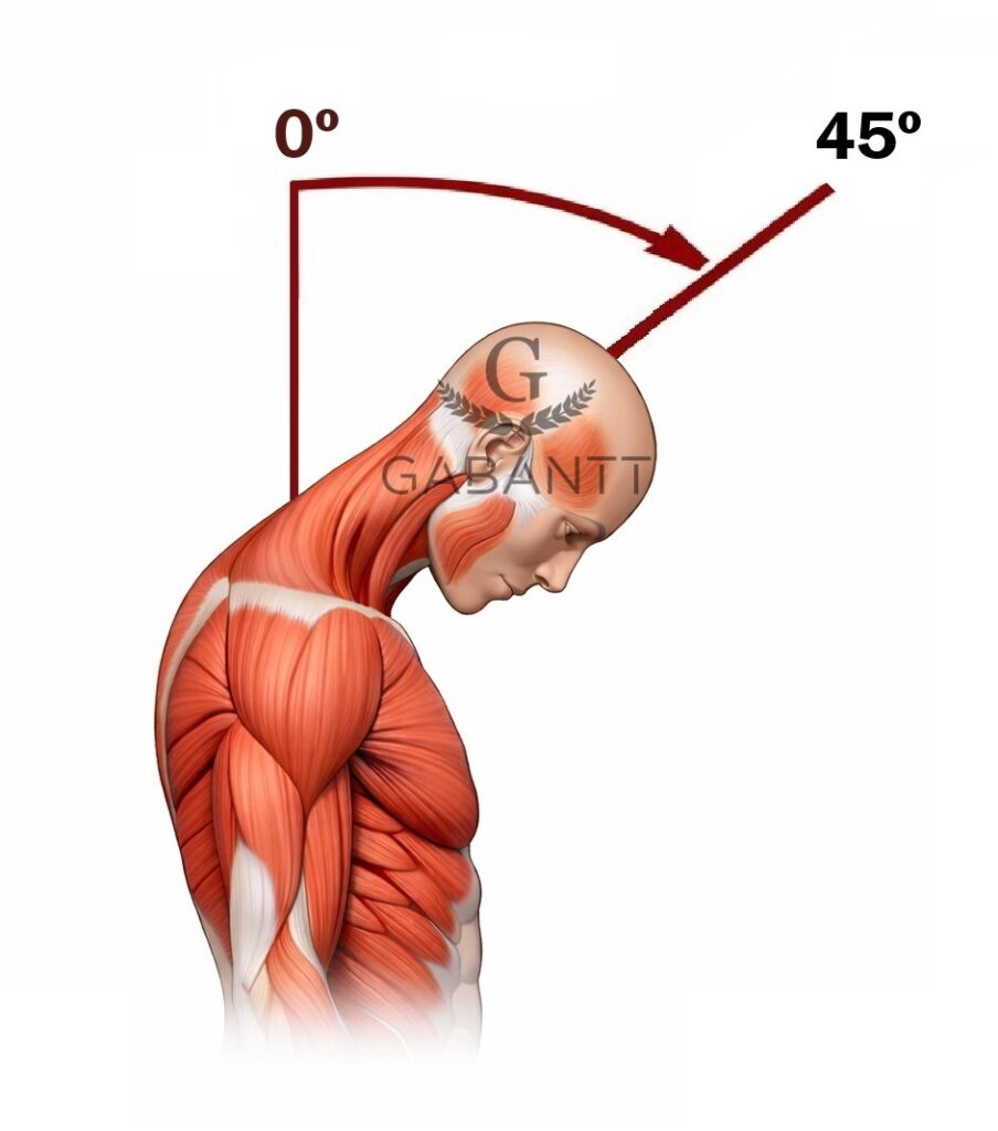 Neck flexion exerciser G Gabantt